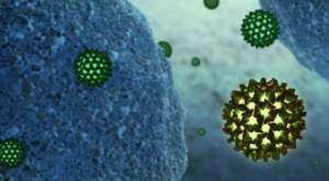 Как передается вирусный гепатит