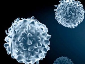 Чем поднять лейкоциты после химиотерапии?