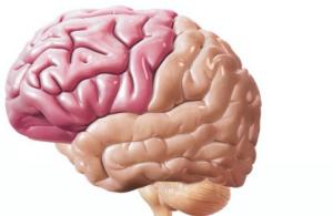 Стимуляция головного и спинного мозга