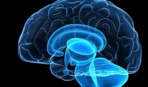 Стимуляция головного и спинного мозга