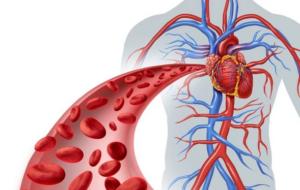 Симптомы и лечение кардиомиопатии