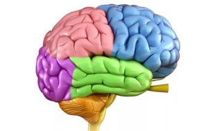 Абсцесс головного мозга: причины