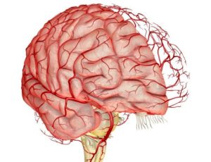 Кортикобазальная дегенерация головного мозга - причины