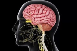 Кортикобазальная дегенерация головного мозга: симптомы и лечение