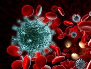 Вирус гепатита с способ передачи thumbnail