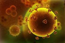 Желтуха — вирусный гепатит