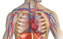 Стеноз подключичной артерии