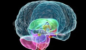 Очаговые изменения в головном мозге