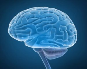 Очаговые изменения в головном мозге