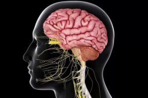 Отек мозга: причины и лечение