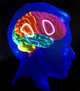 Биополярное расстройство мозга